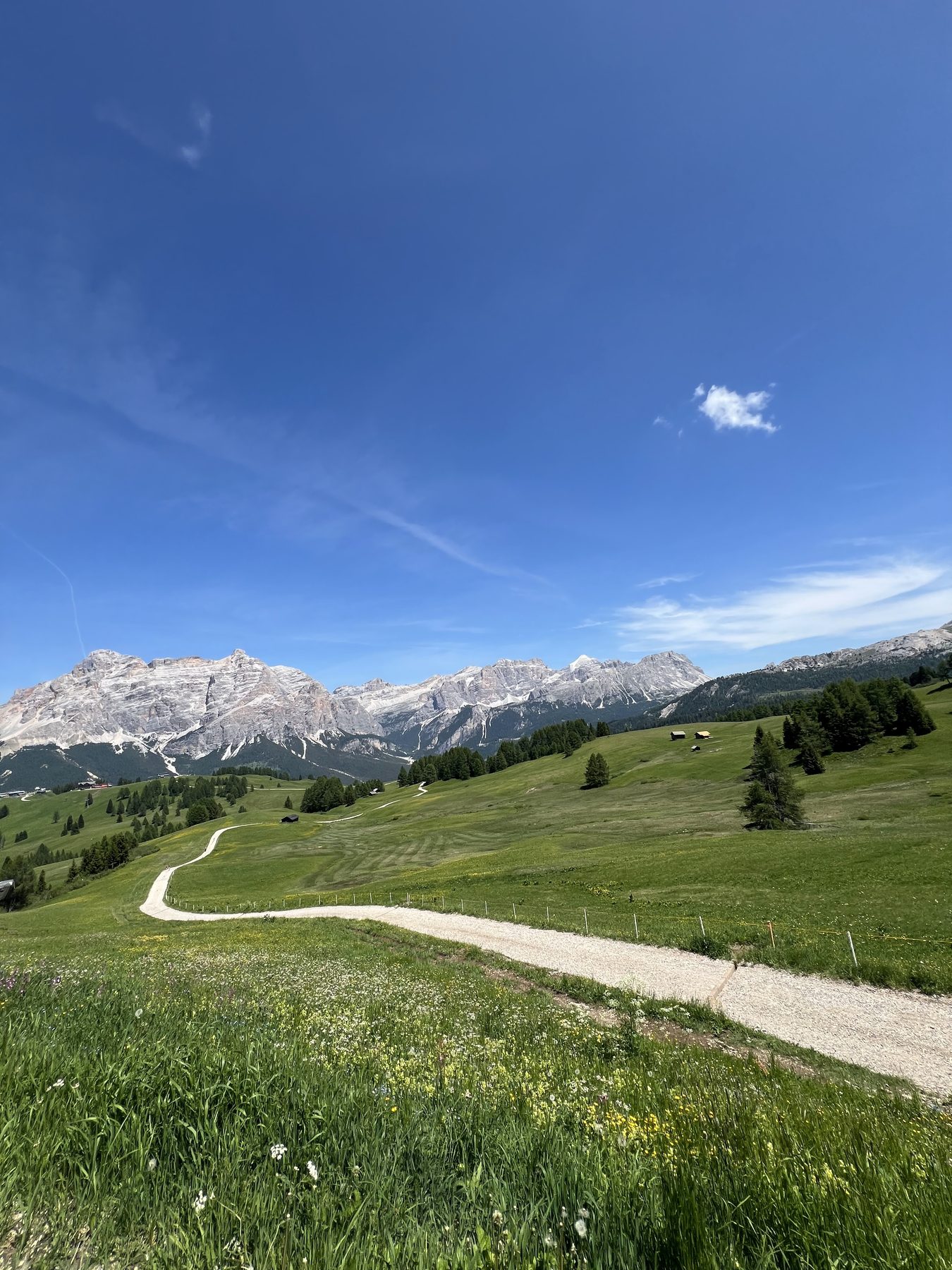 Green alpine meadow and trail beneath Dolomite peaks