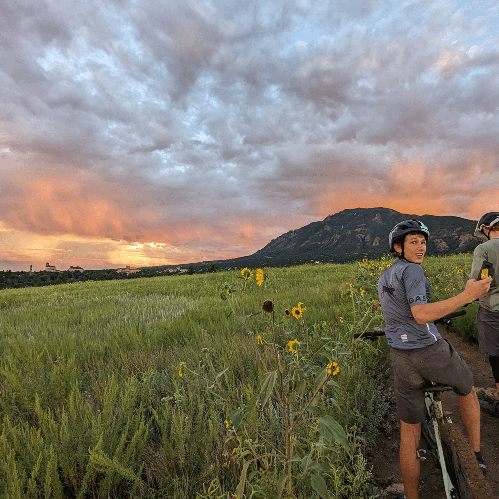 man on bike in sunflower field at sunset